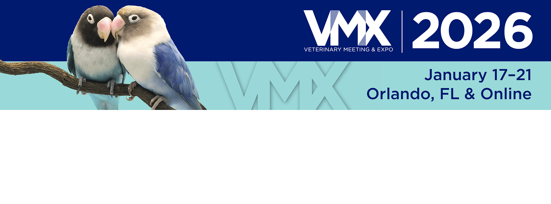 VMX-2026 Logo