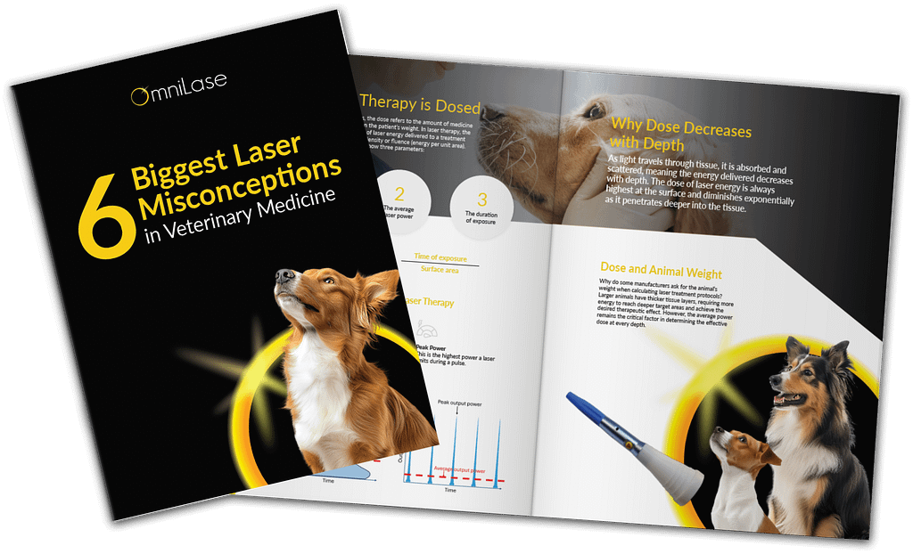 6 Biggest Laser Misconceptions in Veterinary Medicine_eBook Thumbnail - OmniLase E-book.