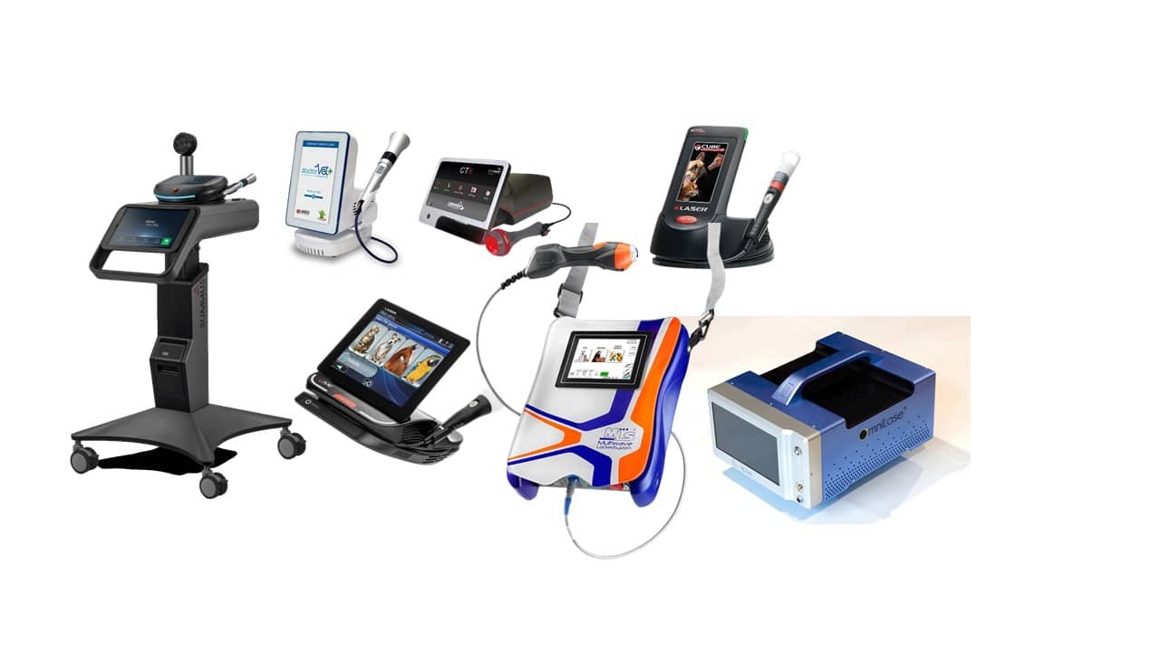 Veterinary lasers