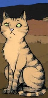 Feline Laser therapy